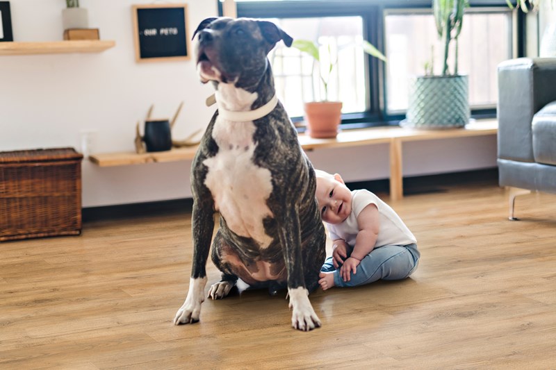 Luxury Vinyl Plank Pioneer Tavern Favela Gold RoomScene